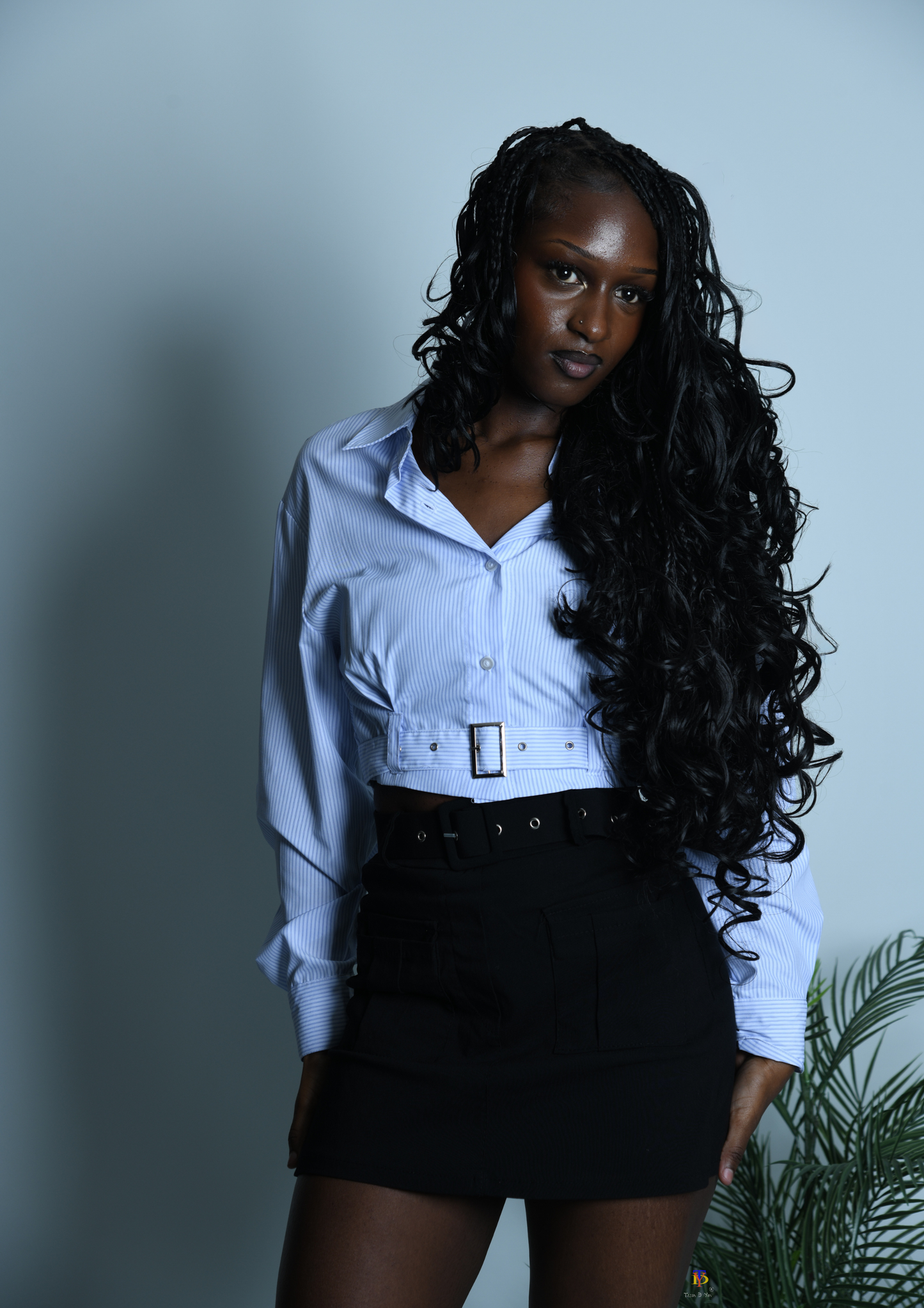 Striped Crop Shirt