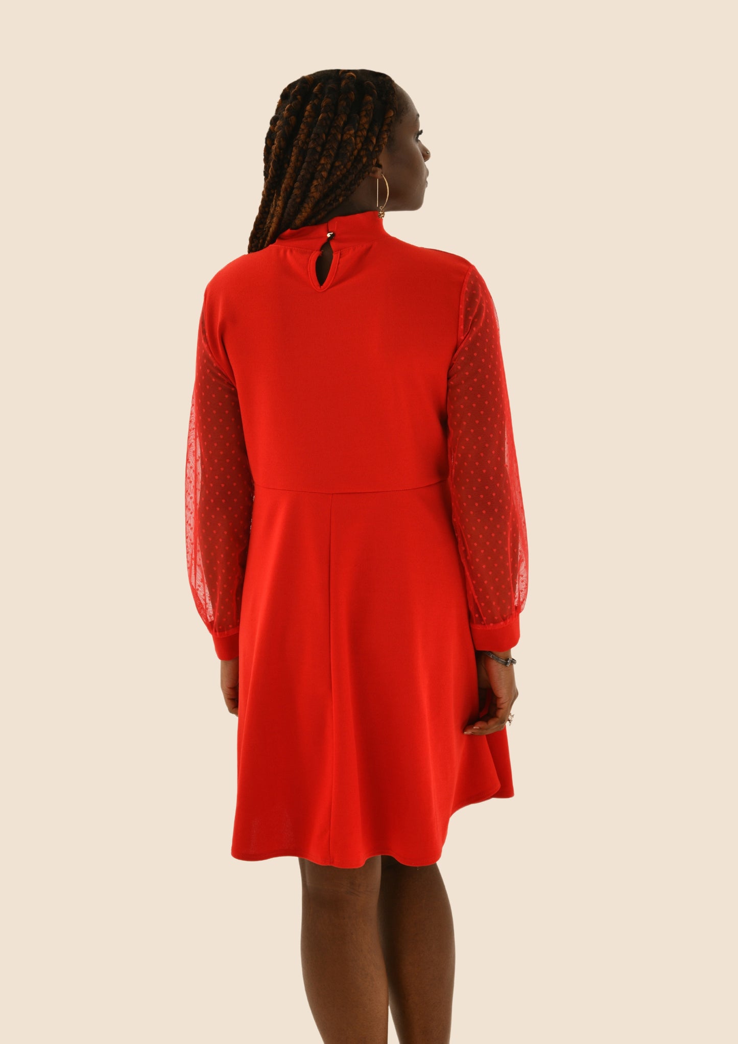 Sheer Sleeve & V-neck Dress