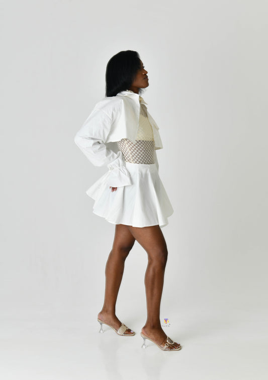 Skirt and Cropped Shirt Set