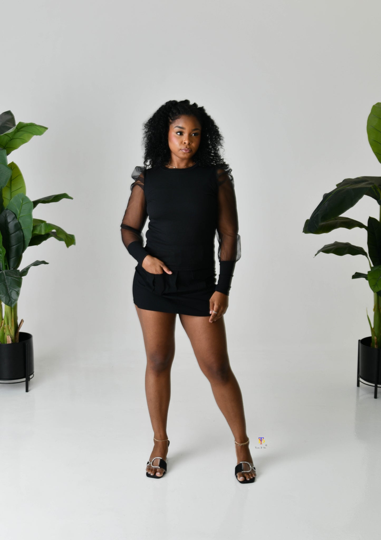 Puff Mesh Sleeve Top