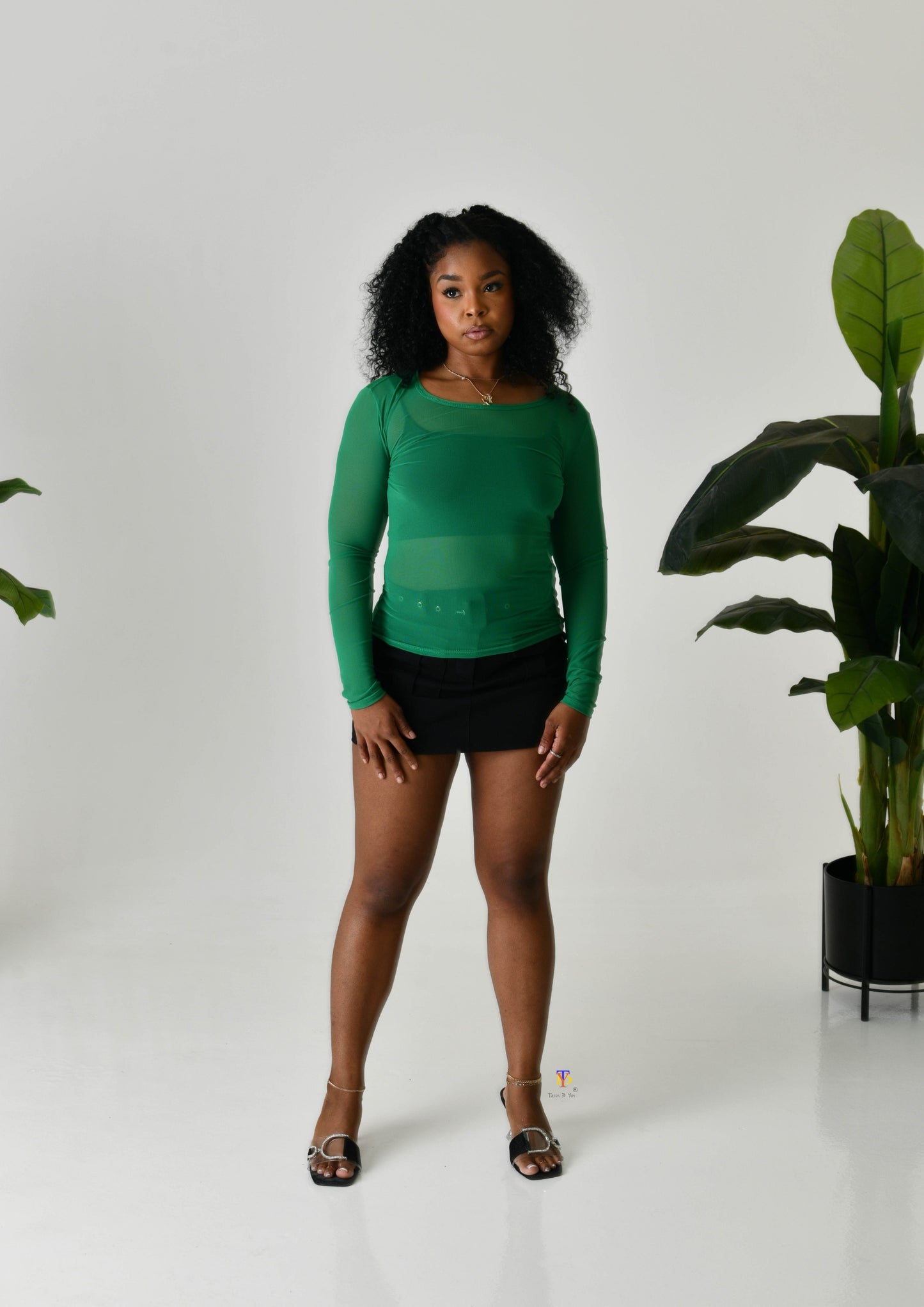 Mesh Top