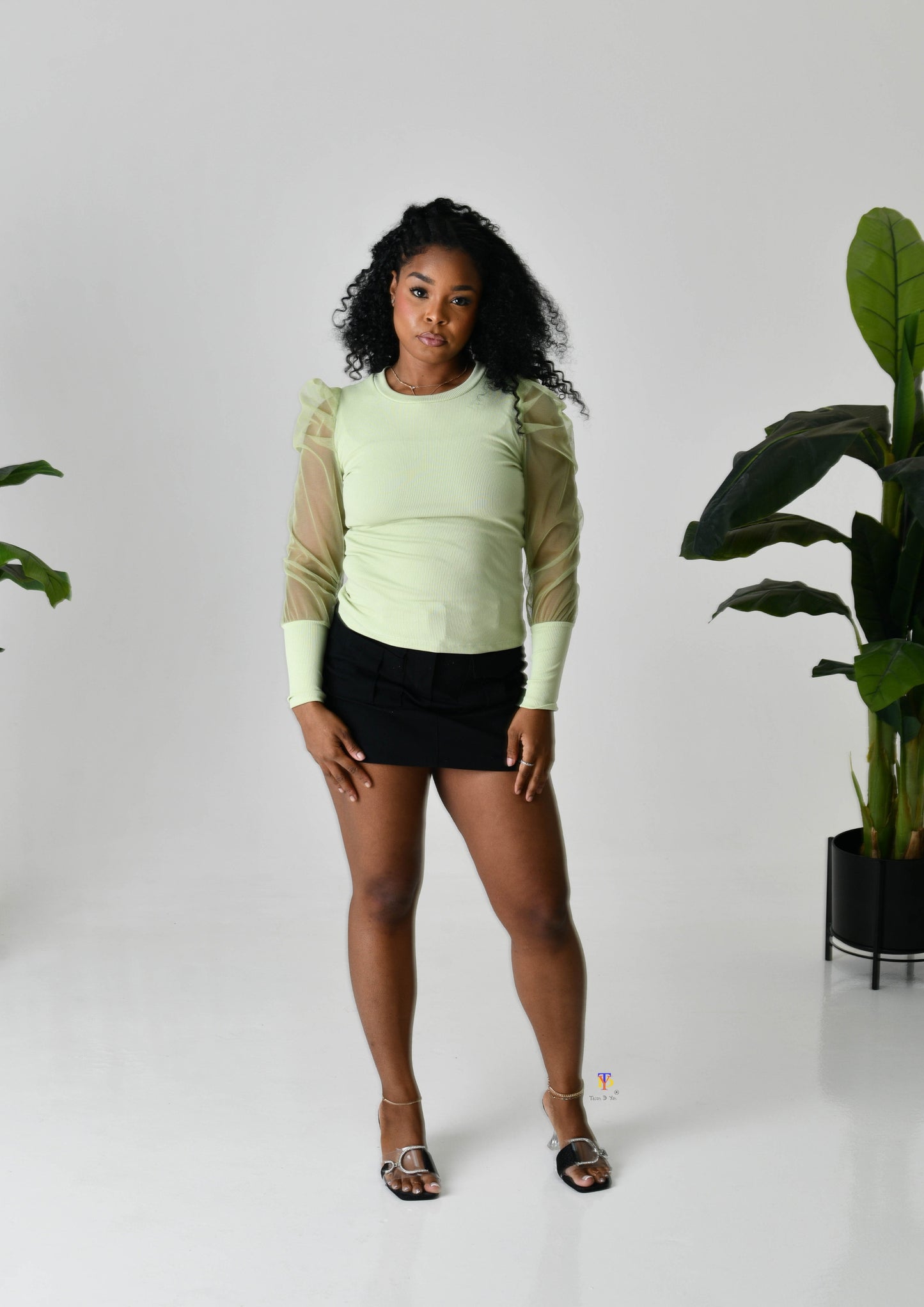Puff Mesh Sleeve Top