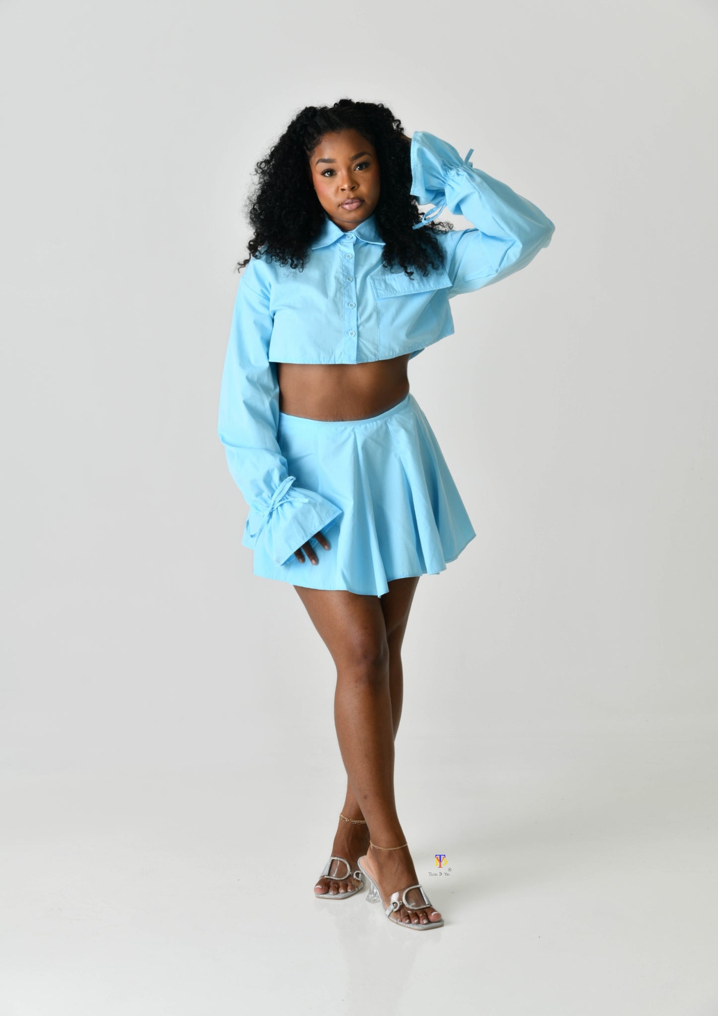 Skirt and Cropped Shirt Set