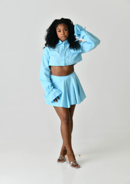 Skirt and Cropped Shirt Set